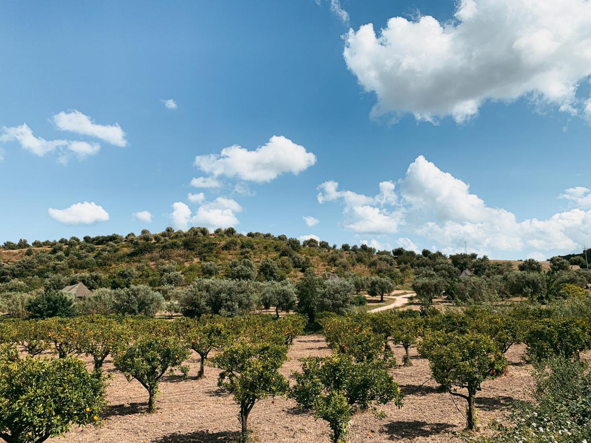 הוילה נוטו Iuta Farm מראה חיצוני תמונה