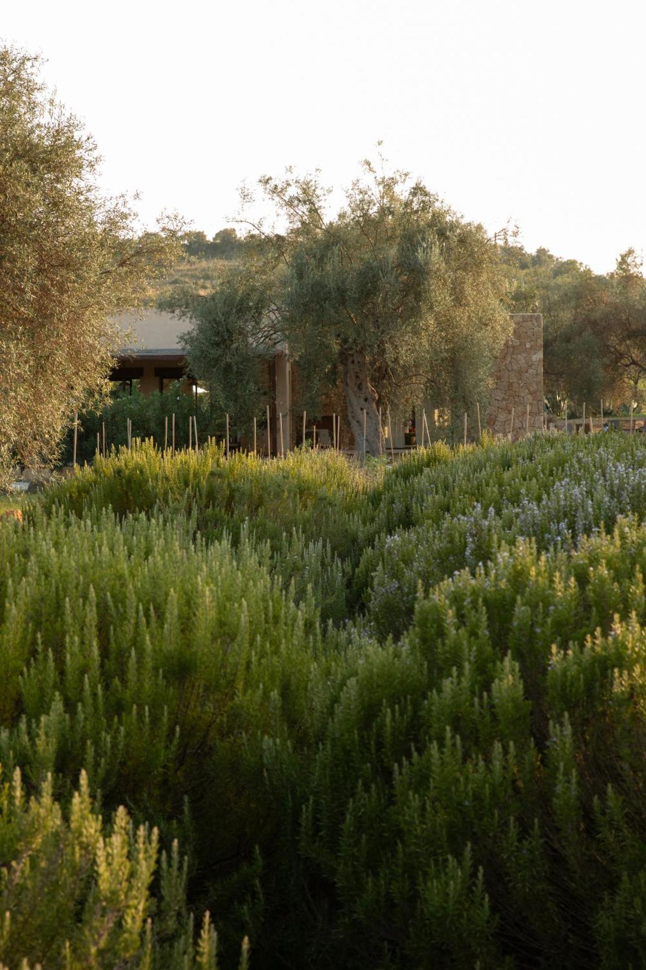 הוילה נוטו Iuta Farm מראה חיצוני תמונה